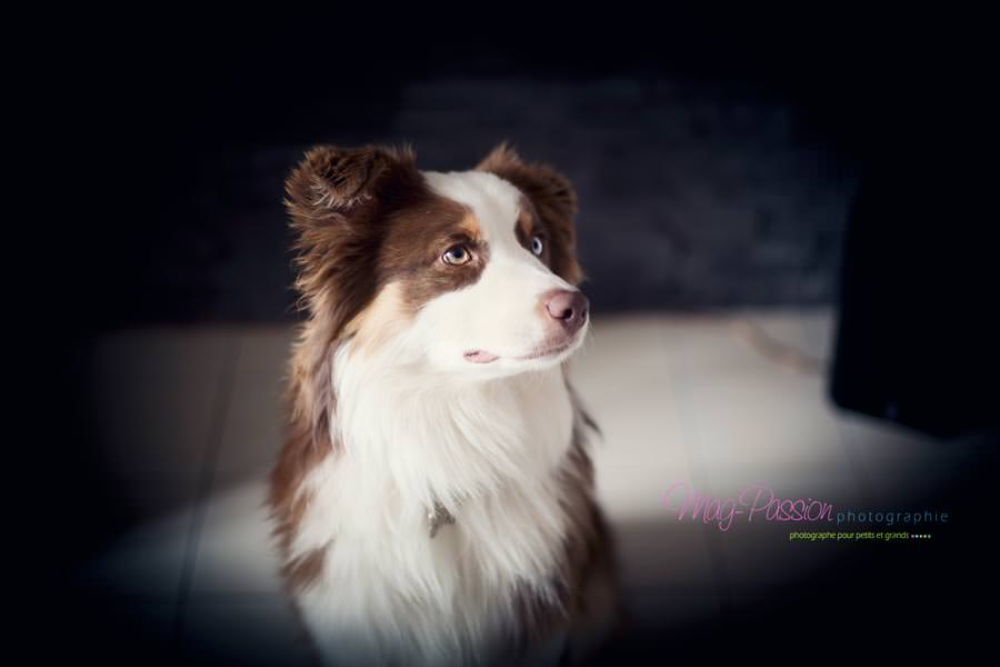 EC3C1643-as-Smart-Object-1